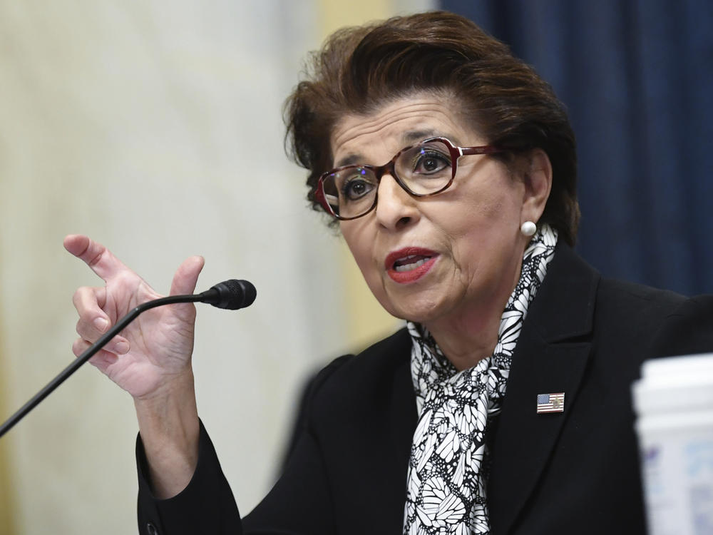 Jovita Carranza, Administrator of the Small Business Administration, testifies during a Senate Small Business and Entrepreneurship hearing June 10, 2020, on Capitol Hill in Washington.