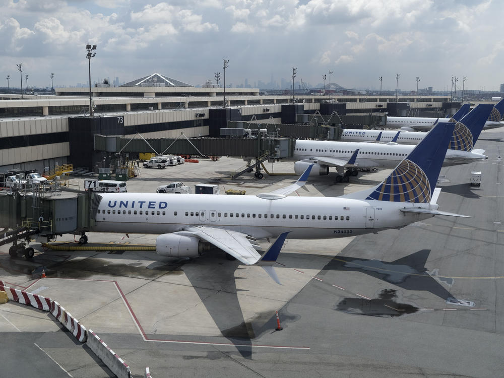 United Airlines planes at Newark Liberty International Airport in Newark, N.J. Company executives call the COVID-19 pandemic the worst crisis in the airline's history.