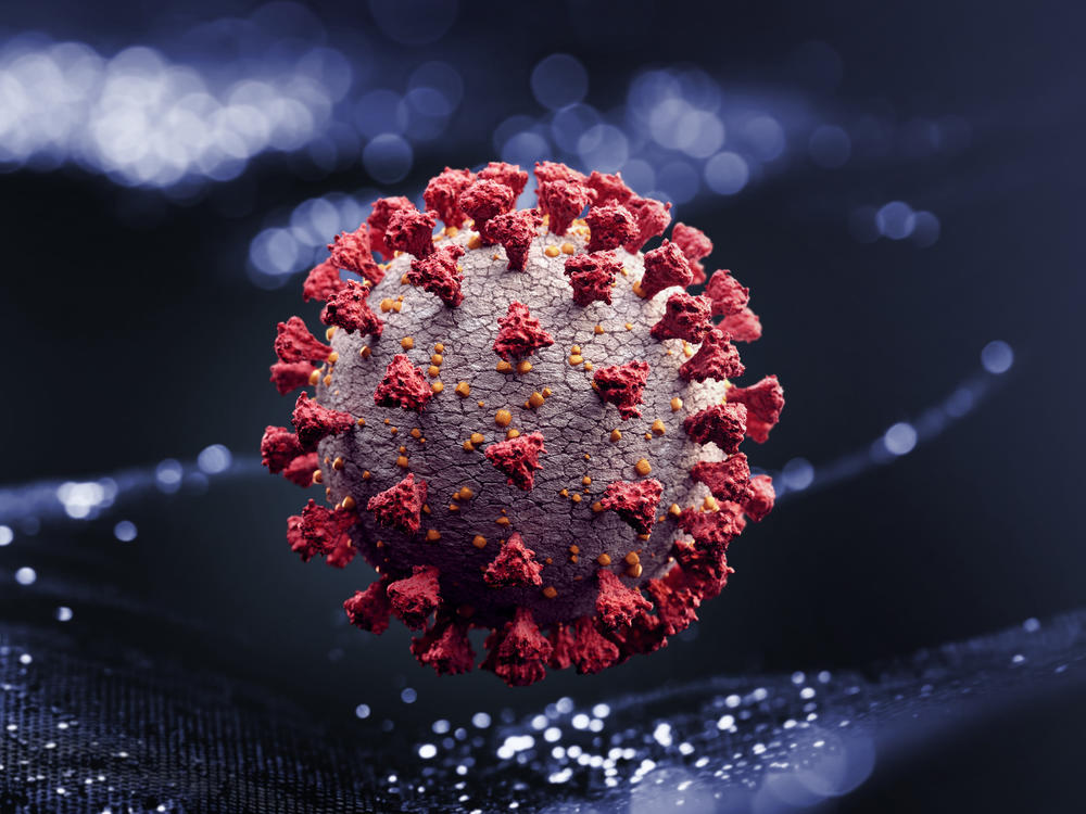 A computer rendering of SARS-CoV-2, the virus that causes COVID-19.