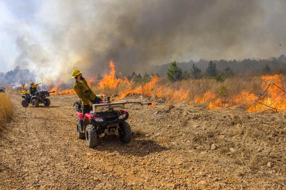 Workers watch the backfires they set with the flamethrowers mounted on their ATVs at Sprewell Bluff during a recent prescribed burn. The land was part of some 10,000 acres of public and private land maintained by fire in the area.