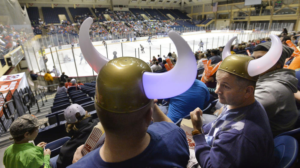 Macon Mayhem fans at a game in 2014 (Photo Beau Cabell The Telegraph)