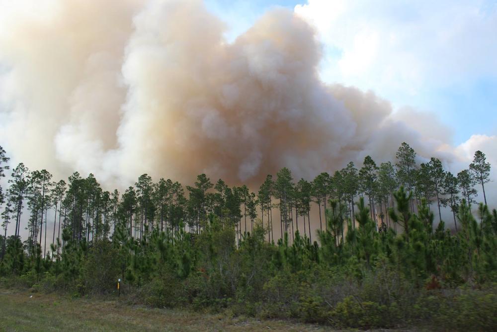 The West Mims Fire continues to burn across 19,000 acres on the Georgia-Florida line.
