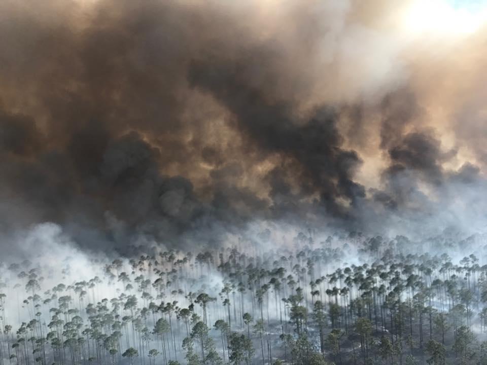 Sustained winds up to 8 mph were expected to keep pushing flames Thursday into areas of swamp parched by drought inside the Okefenokee National Wildlife Refuge, where a lightning strike sparked the blaze April 6.