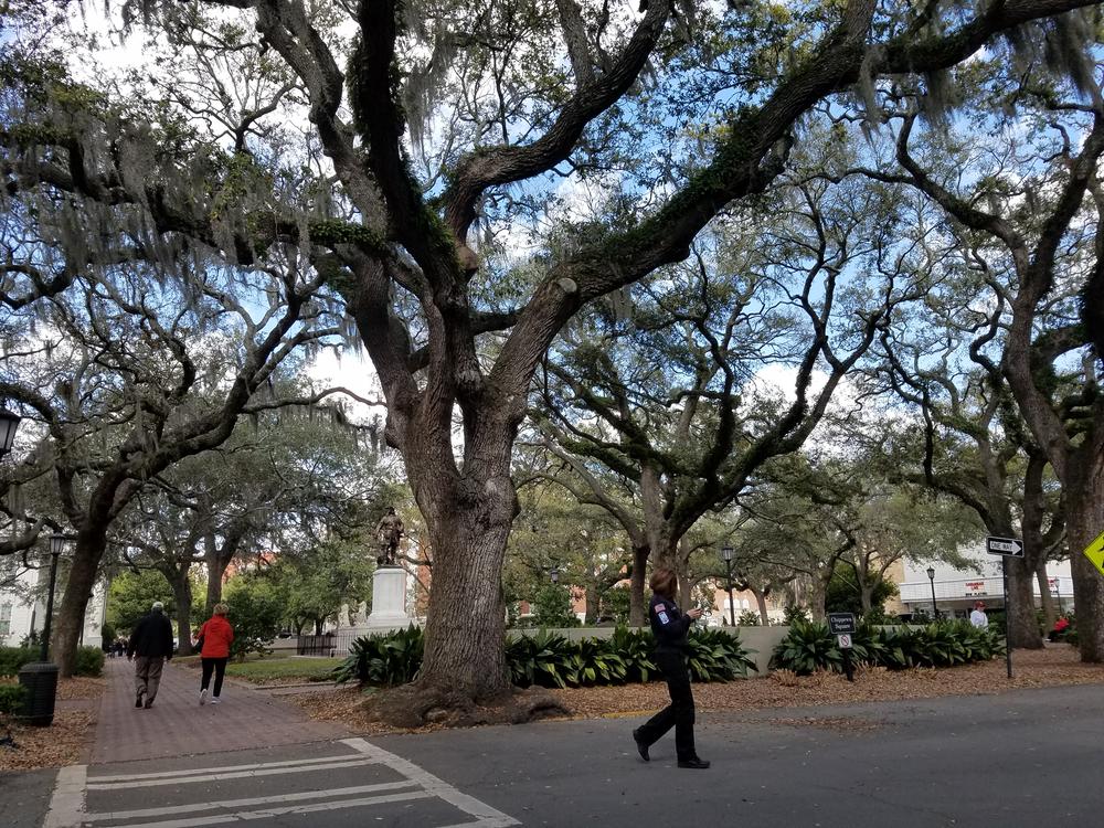 Savannah is at risk of losing its National Historic Landmark designation.