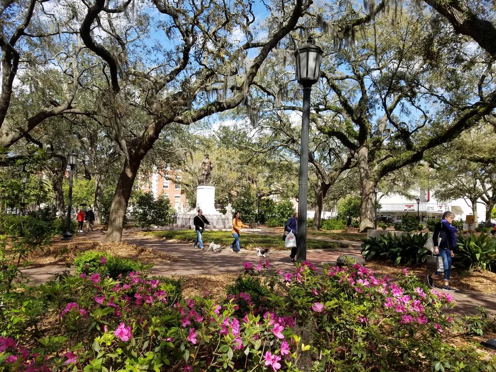 Savannah is famous for the Oglethorpe Plan, which incorporates distinctive squares like this one in a grid of streets. A new assessment finds that plan is at risk.