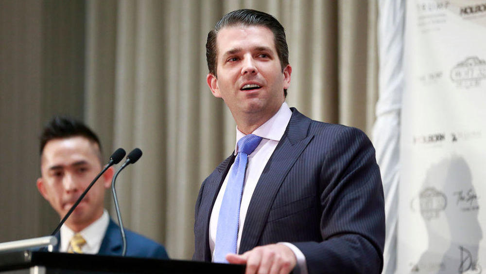 The president's eldest son, Donald Trump Jr., admitted Sunday in a statement that he met with a Russian lawyer in June 2016 who was said to have had information helpful to his father's campaign against Hillary Clinton.