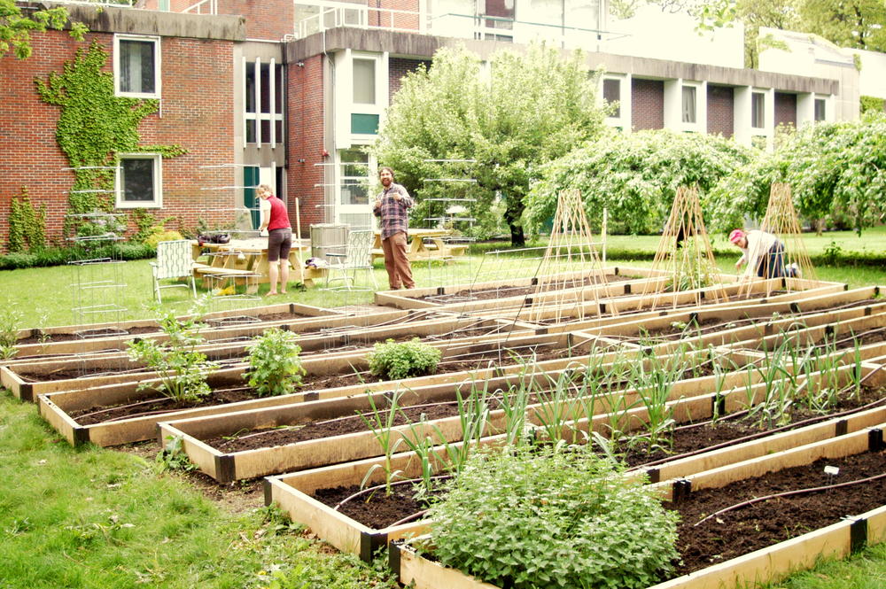 Across Georgia, local communities are building community gardens and agrihoods to address food insecurity and loss of green space.