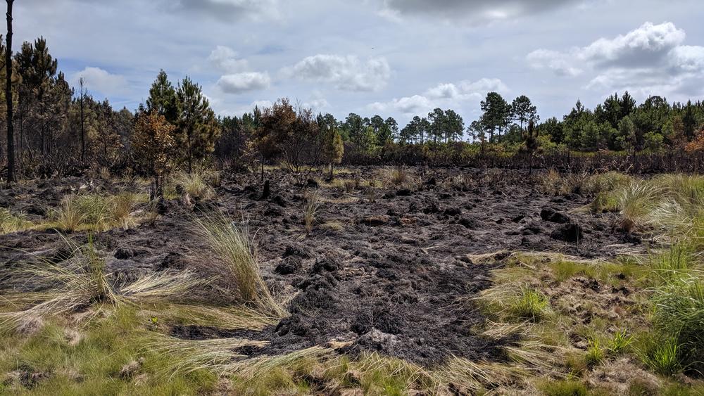 The Whitney Fire has burned more than 400 acres since it was started by a lightning strike on June 29.