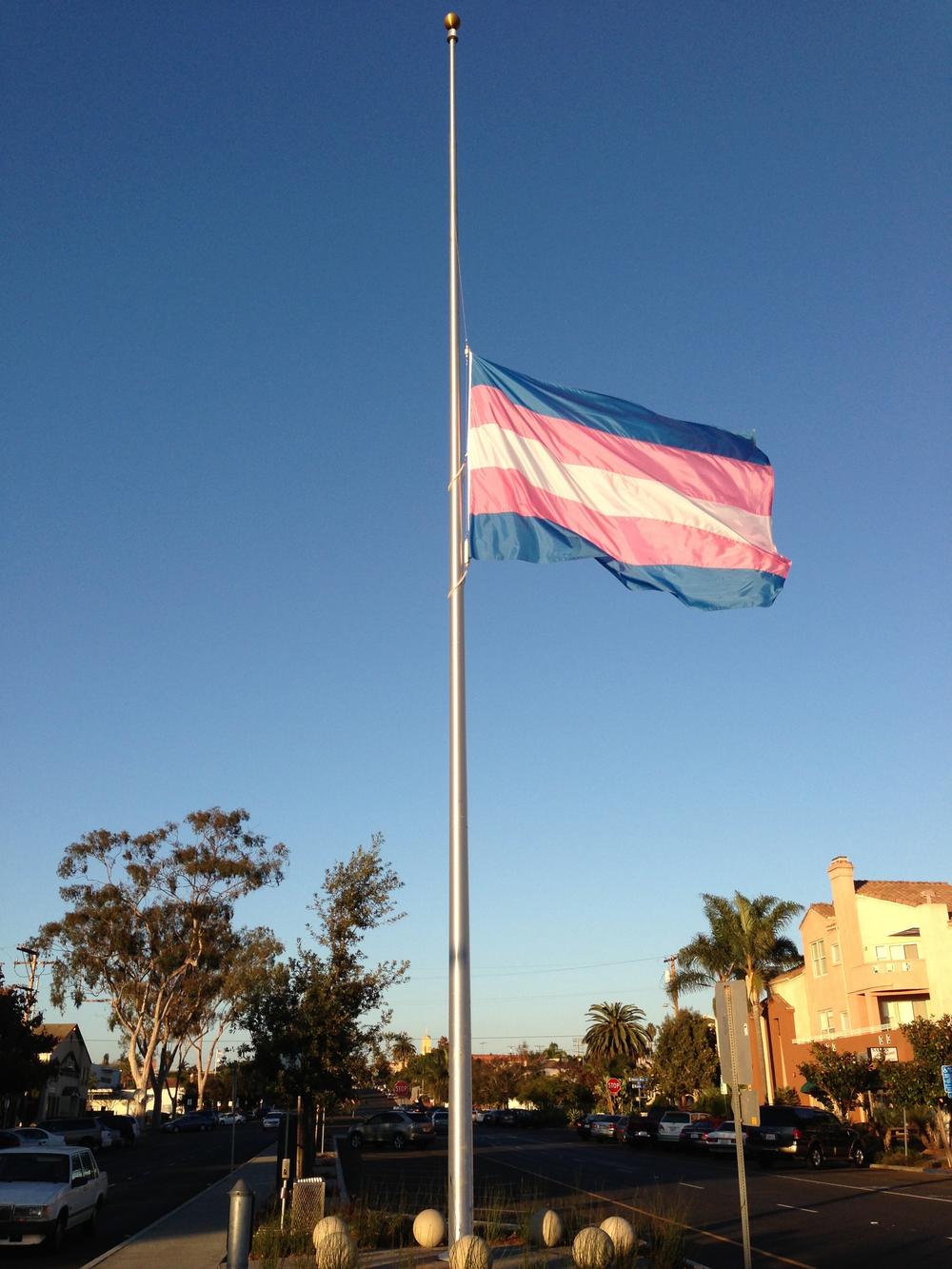 The Transgender Pride Flag was created by American trans woman Monica Helms in 1999.