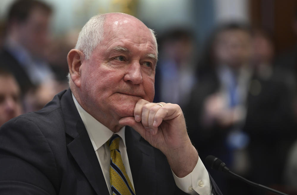 Agriculture Secretary Sonny Perdue testifies on Capitol Hill in Washington, Tuesday, Feb. 6, 2018, during a hearing on the rural economy.