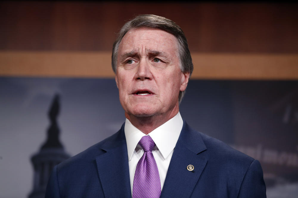 Sen. David Perdue, R-Ga., speaks during a news conference about an immigration bill on Capitol Hill, Monday, Feb. 12, 2018 in Washington.