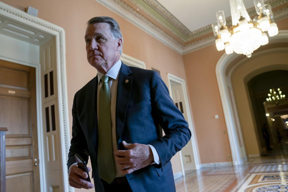 Sen. David Perdue, R-Ga., returns to the chamber following a meeting with fellow Republicans, at the Capitol in Washington, Tuesday, April 30, 2019. He faces challenges from a range of Georgia Democrats.