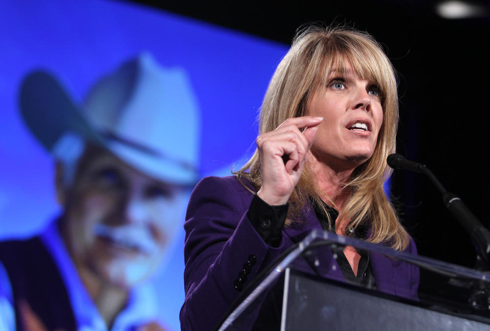 Laura Turner Seydel, daughter of Ted Turner, speaks at the unveiling ceremony for the recently acquired Ted Turner portrait at the Smithsonian's National Portrait Gallery, on Tuesday, Dec. 2, 2014 in Washington, DC. The ceremony celebrates the addition ma