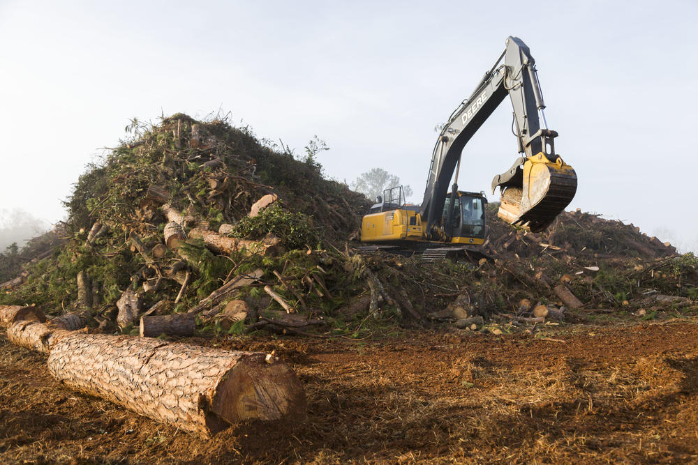 A track hoe packs down a pile of trees 30 feet tall and a little smaller than a football field off of Gillionville Road in Albany. There are multiple such piles.