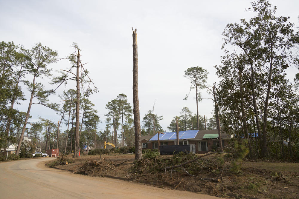 Much of the damage to homes in Albany was sustained in the middle to upper middle class Avenues neighborhood. 