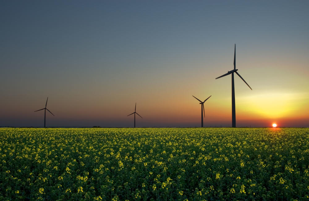 Wind, solar, and hydroelectricity are three emerging renewable sources of energy.