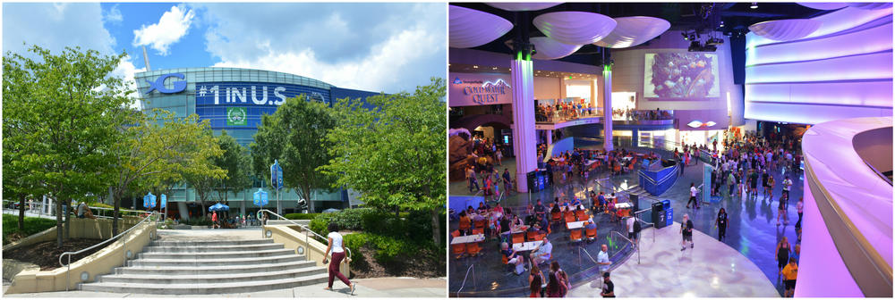 (Left) The Georgia Aquarium is very proud of it's top rating on TripAdvisor. (Right) Inside the aquarium on a busy summer weekday afternoon.