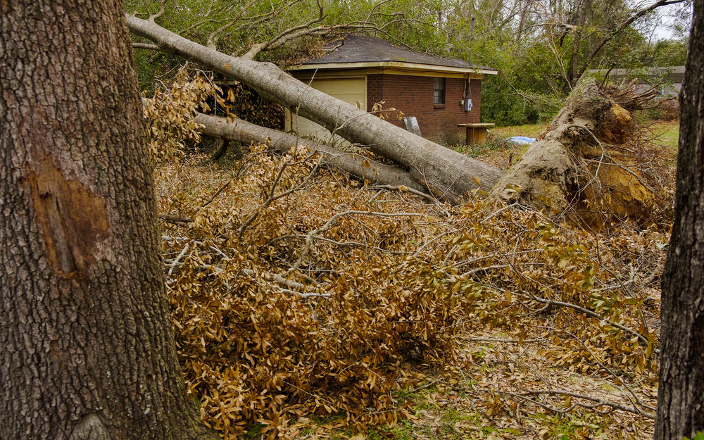 The city of Bainbridge is still digging out from under debri s two weeks after Hurricane Michael came through southwest Georgia.