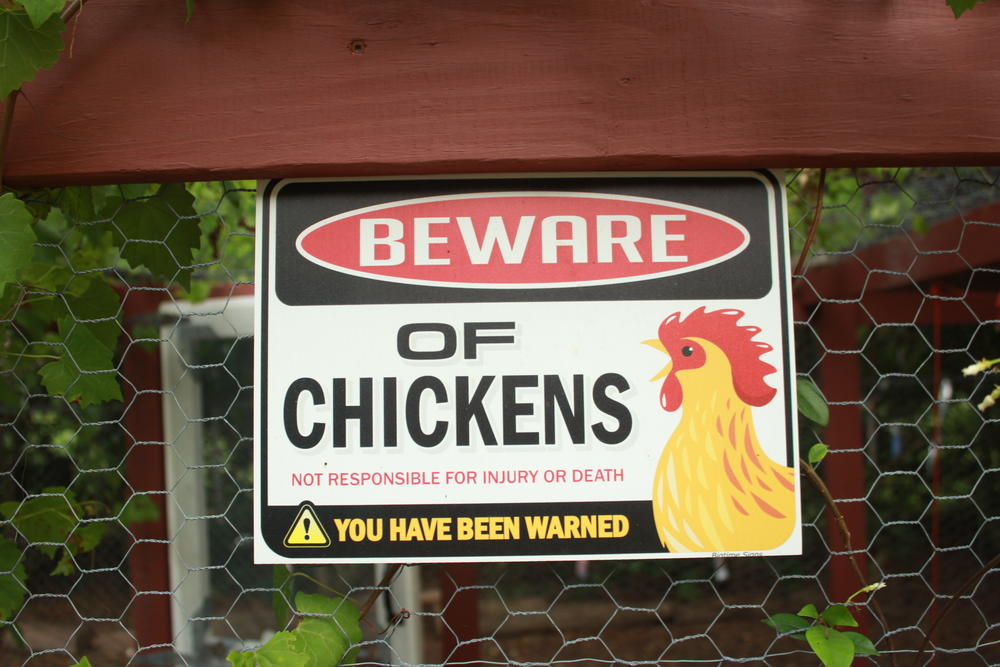 Sign adorning the chicken coop in the back yard of the Resch family.