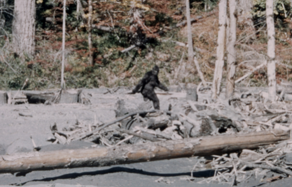 Amateur footage allegadly showing Bigfoot in 1967.