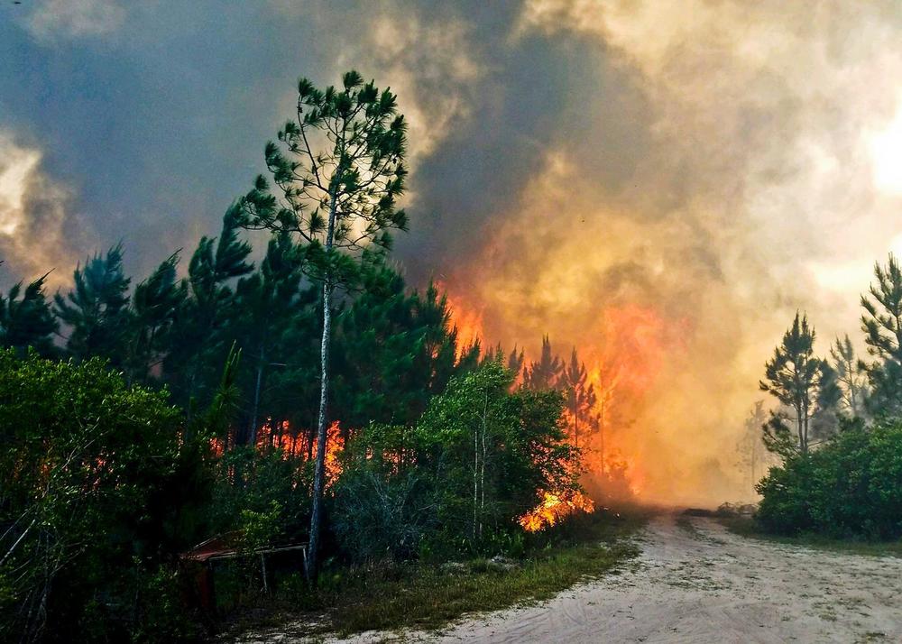 In this Saturday, May 6, 2017 photo provided by the Okefenokee National Wildlife Refuge smoke rises from a wildfire east of Fargo, Ga. Firefighters were battling Sunday to prevent the fire from spreading, authorities said. 
