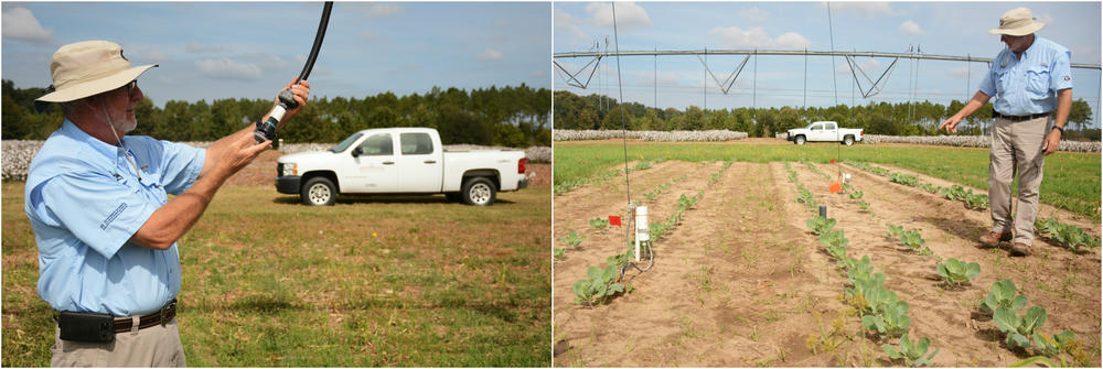(Left) Calvin Perry inspecting a drop nozzle on an irrigation system. Since it delivers water closer to the crop, it saves water. (Right) Perry pointing out different kinds of soil moisture monitors.