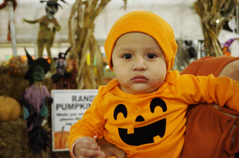 Junior went to Randy's Pumpkin Patch in a jack-o-lantern costume.