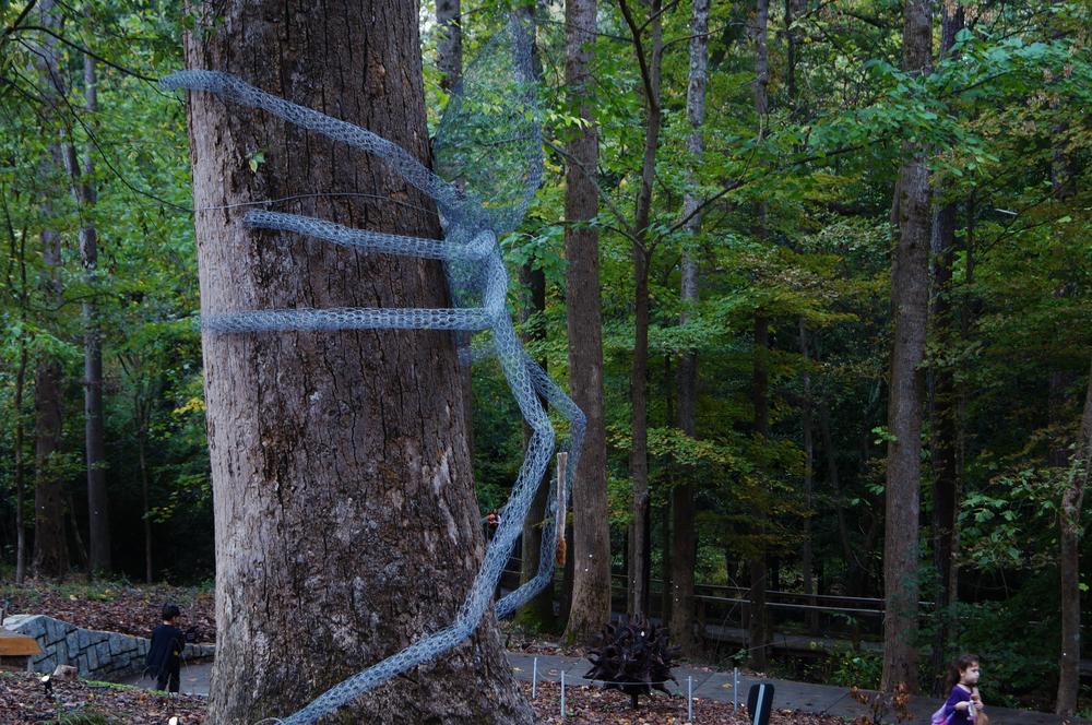 A ghostly spider is attached to a tree in the Fernbank Forest.