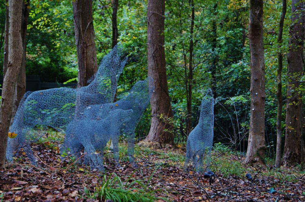 Ghostly wolves were shown howling in the Fernbank Forest.