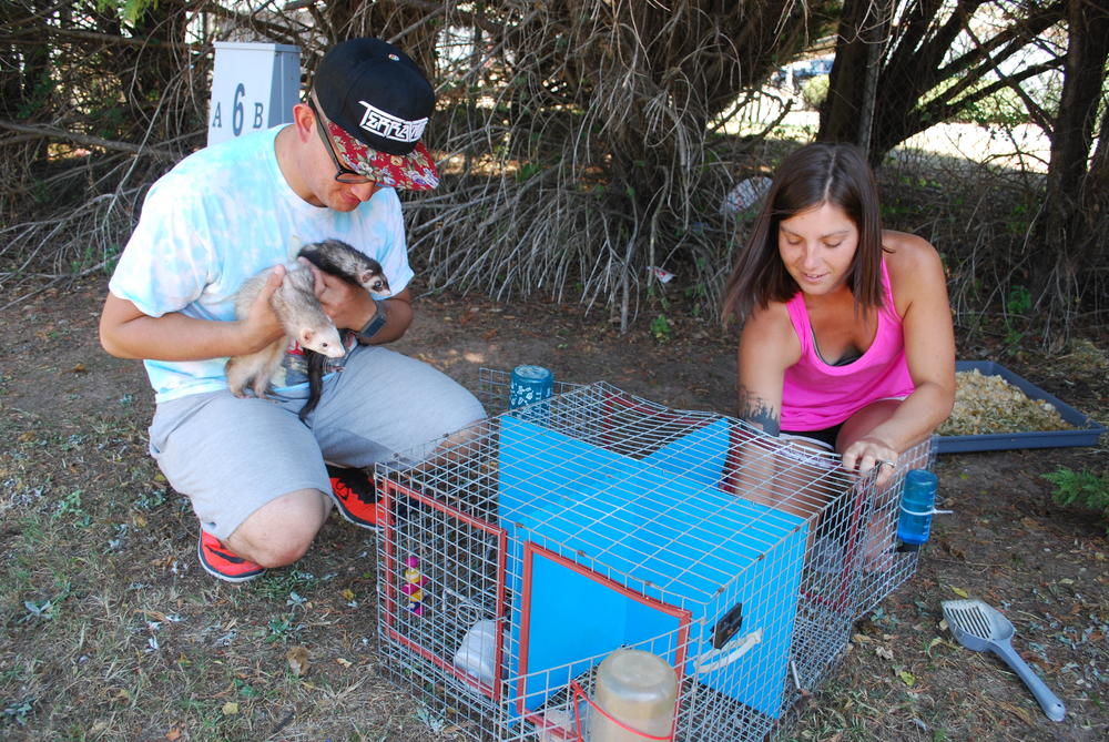 Kayla Simmons and George Cooper tend to ferrets. 