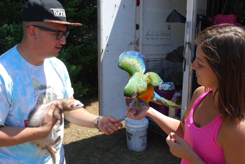 Kayla Simmons and George Cooper hang out with their animals, waiting for the storm to take its course.