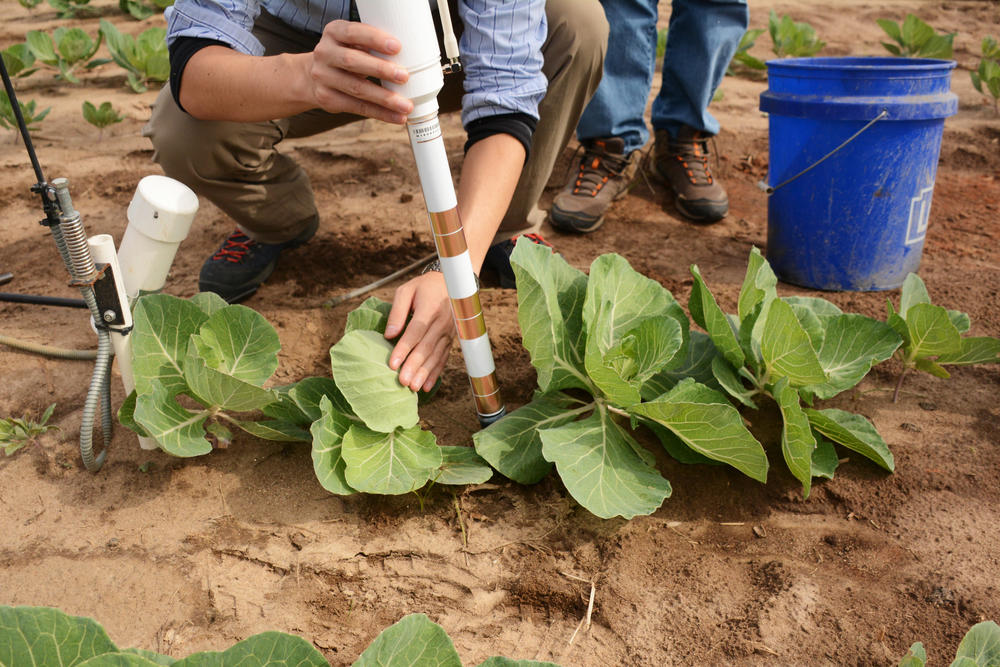 Researchers installing a networked soil moisture sensor at the University of Georgia's Stripling Irrigation Research Park in Camilla, Georgia.