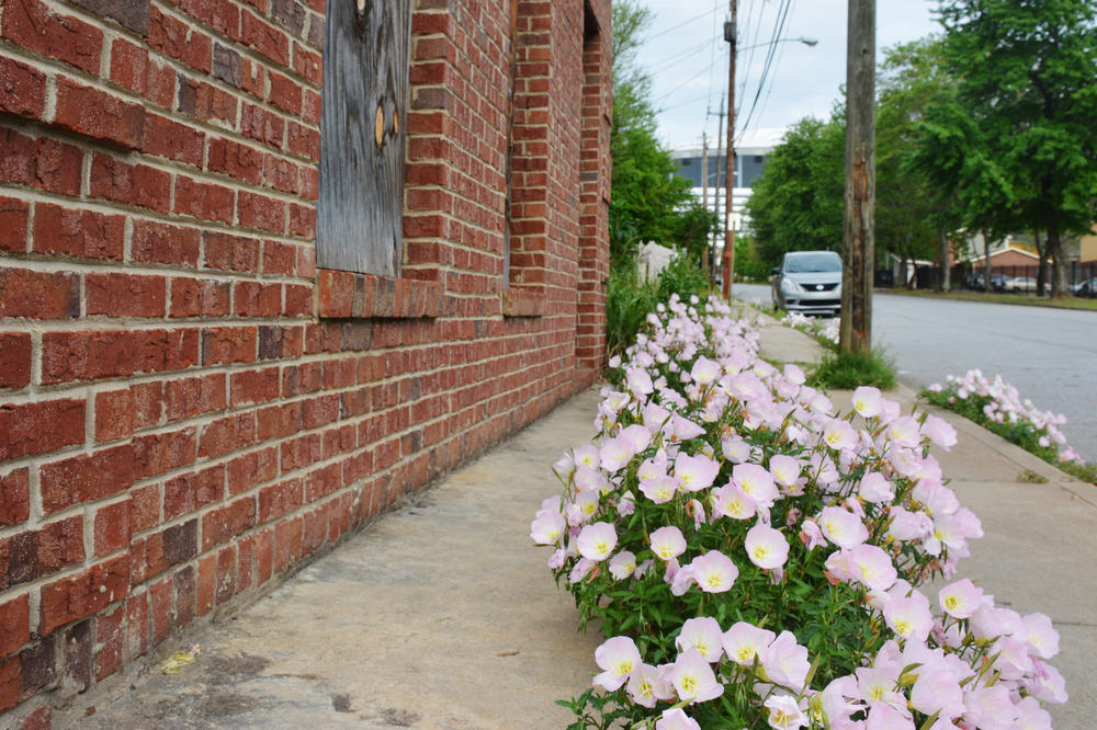 The view up Magnolia Street in Vine City towards the Georgia Dome and downtown Atlanta.