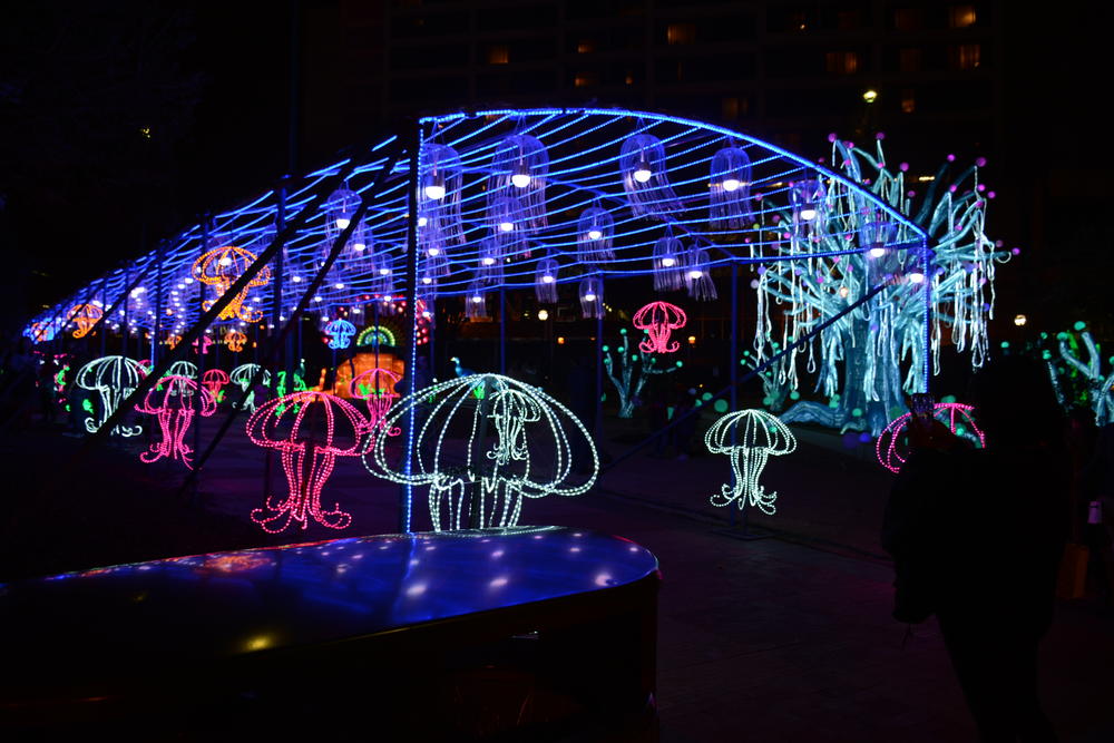 The Chinese Lantern Festival is running until Jan. 5 in Centennial Olympic Park in downtown Atlanta.