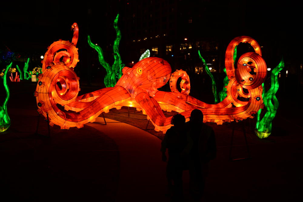 The Chinese Lantern Festival is running until Jan. 5 in Centennial Olympic Park in downtown Atlanta.