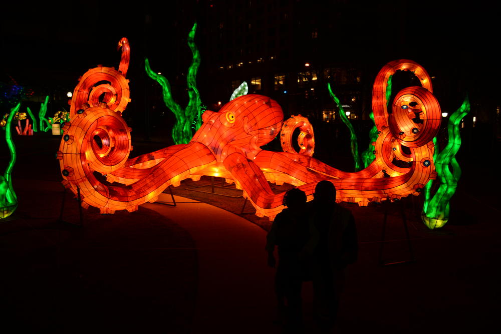 The Chinese Lantern Festival is running until Jan. 5 in Centennial Olympic Park in downtown Atlanta.