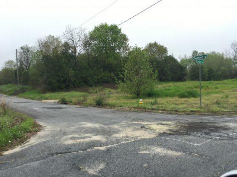 Mercer University has bought up all the land adjacent to the Macon dog park to build a new intramural athletic field complex near Interstate 75 and Oglethorpe Street.