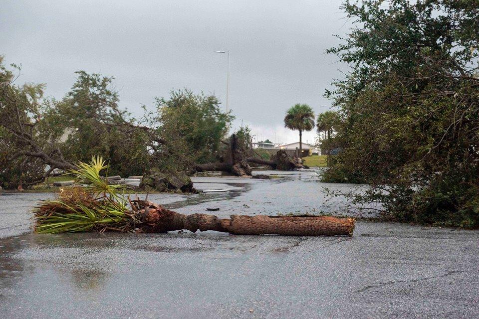 Downed trees on Naval Submarine Base Kings Bay