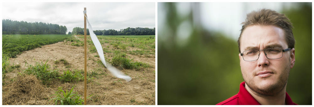 (Left) The flags that trace the path the Sabal Trail pipeline will cut through the Bells' land. (Right) Jeb Bell and his brother tried to fight the project. They ended up in court.