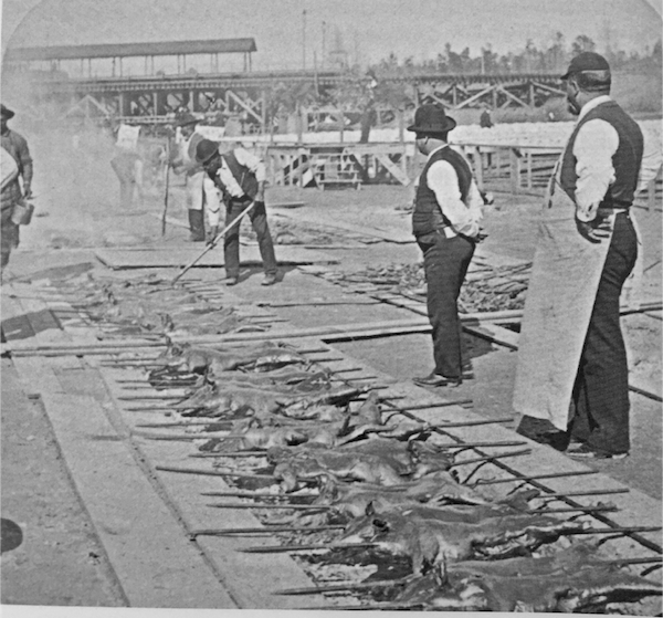 Men check the barbecue pits at the 1895 Cotton States and International Exposition in Atlanta, Georgia.