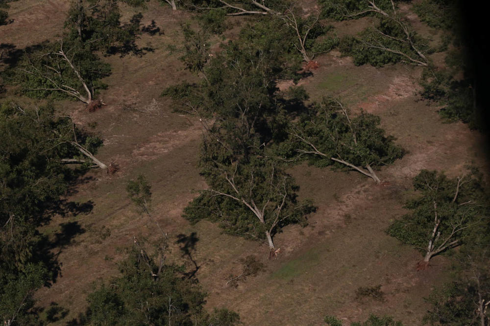 According to the National Climate Assessment, climate change could result in more extreme precipitation events like Hurricane Michael, which razed farmland across south Georgia in October.