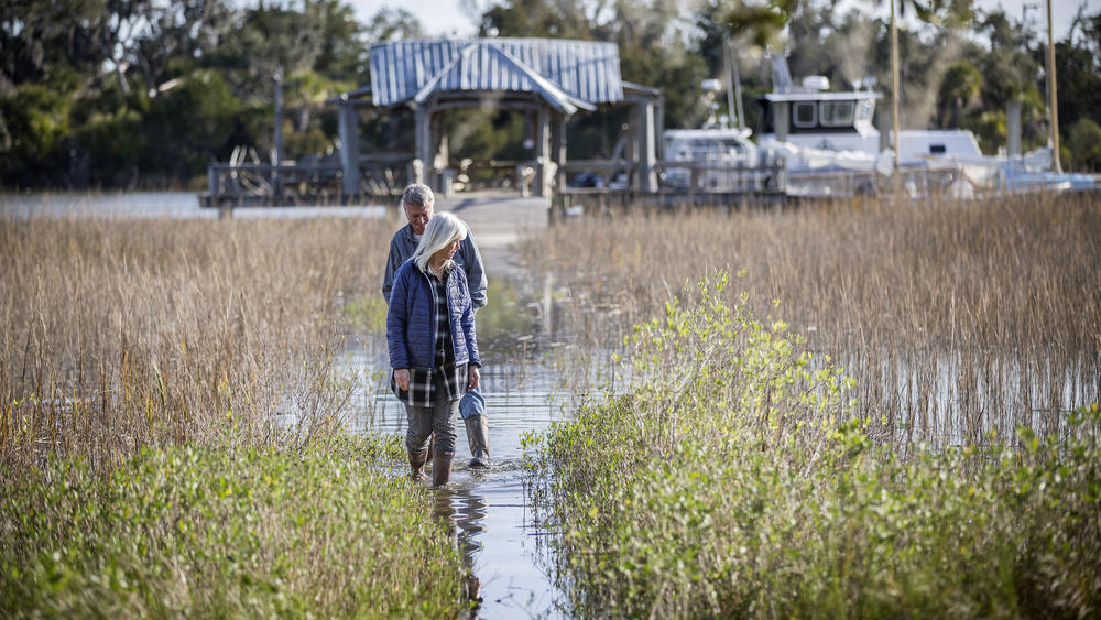 Wanda and David Scott's walkway floods more and more frequently as sea levels rise. They're worried the water is also reaching their septic system.