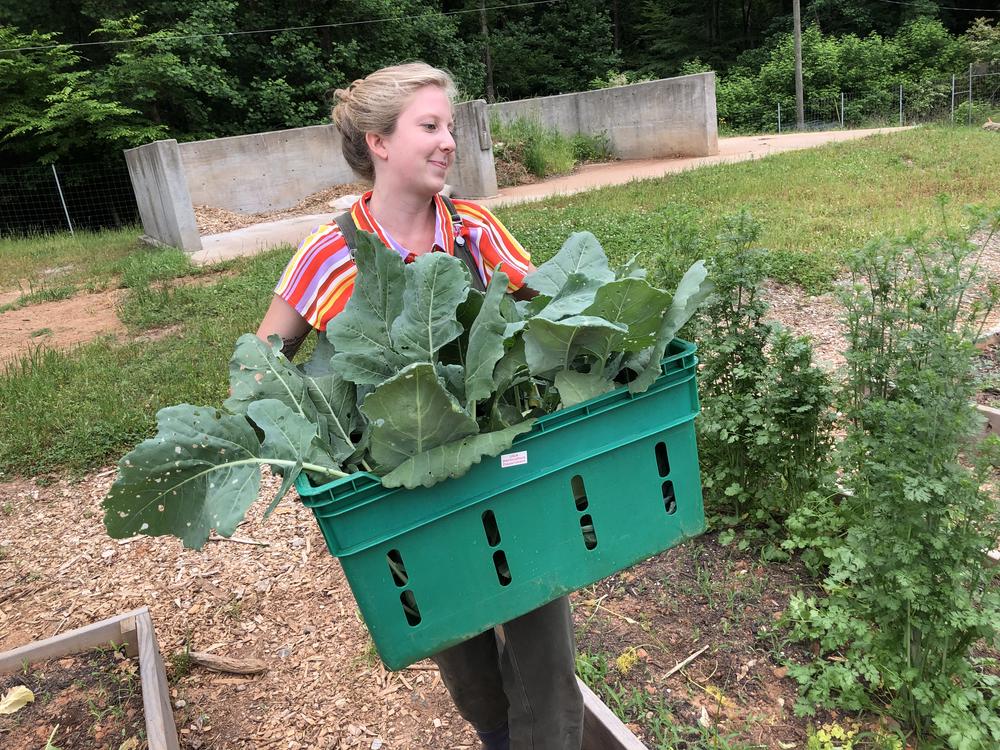 UGA student Lily Dabbs carries fresh produce from the farm to be washed.