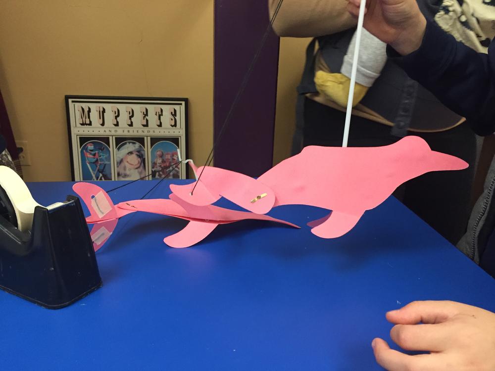 Children constructed Amazoninan pink river dolphin marionettes to learn about measurement and shapes.