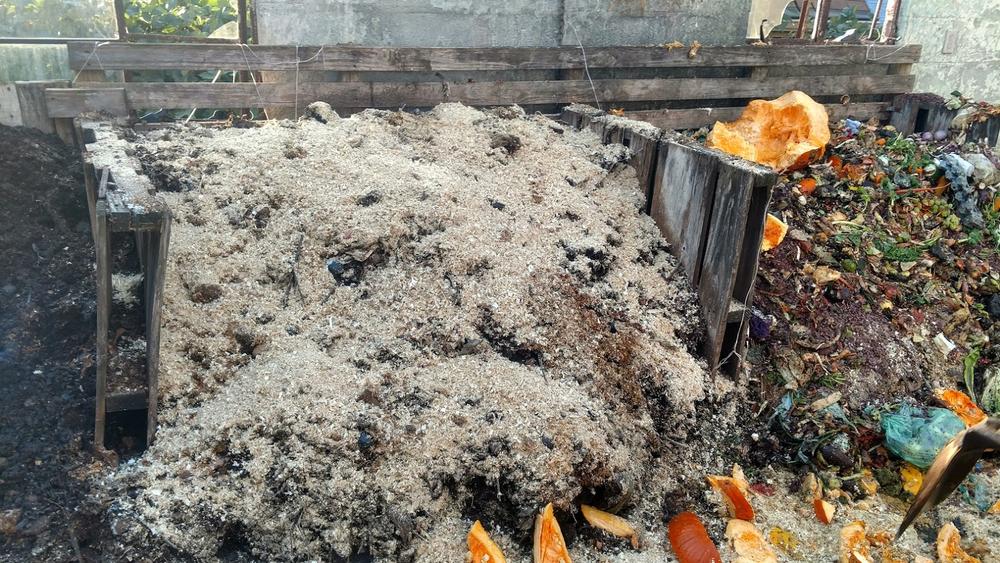 At its earliest stage, new food waste gets absorbed into a compost pile with the help of saw dust.