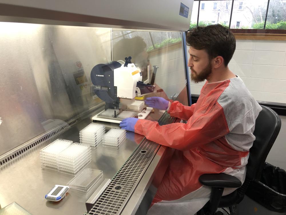 A graduate student at UGA works in a lab testing influenza vaccines.