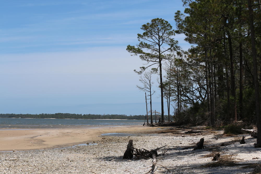 Cumberland Island