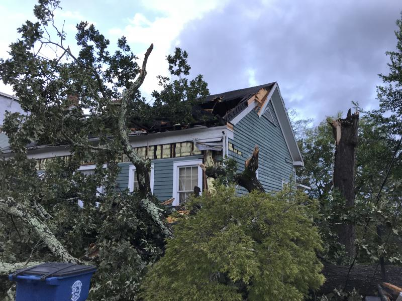 Trees damaged homes in Macon as Hurricane Michael blew through.