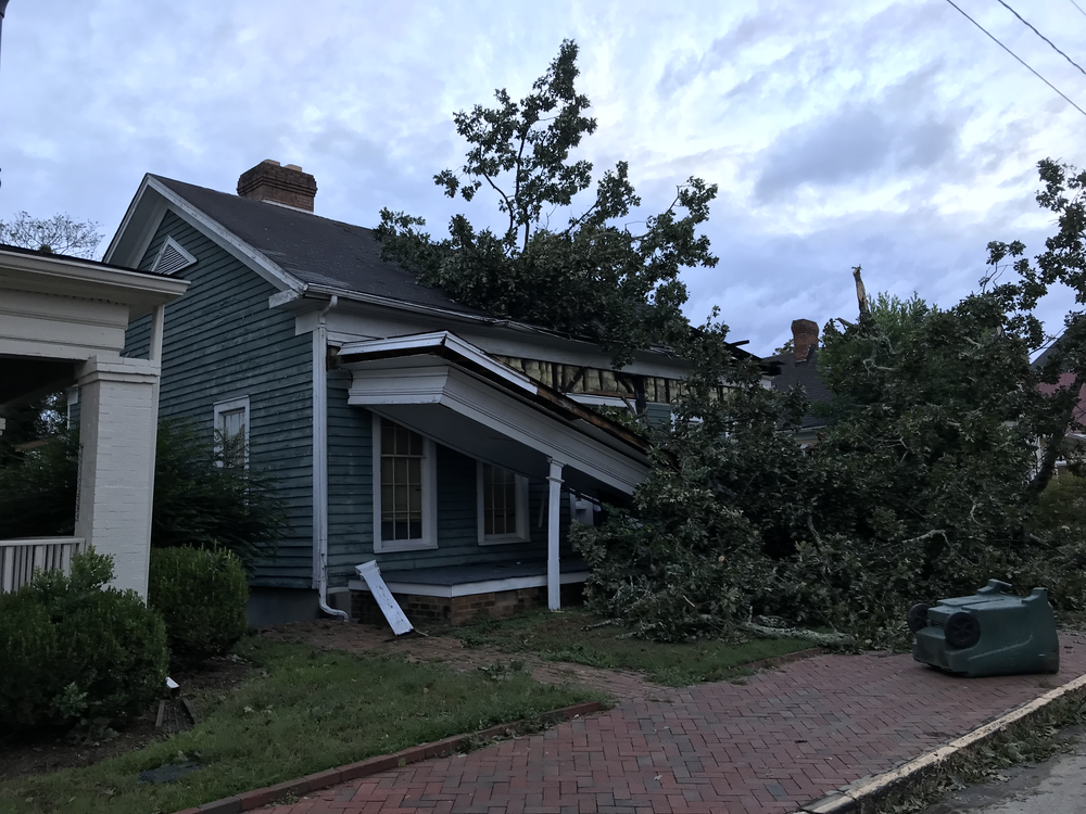 Trees damaged homes in Macon as Hurricane Michael blew through.
