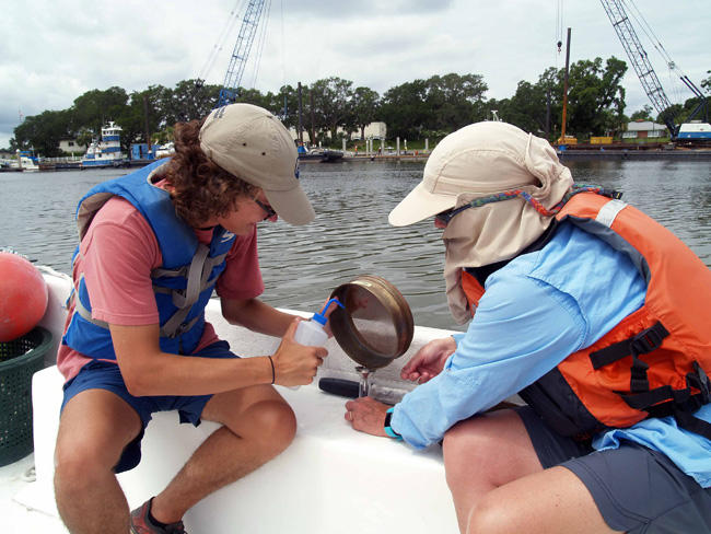 Sifting microplastics from sea water